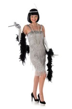Womens Silver Flapper Dress 1920s Ladies Charleston Gatsby Fancy Dress Party