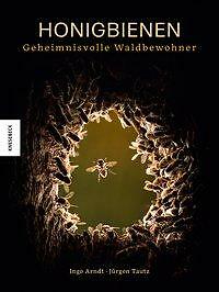 Thumbnail - Honigbienen - Geheimnisvolle Waldbewohner - Ingo Arndt / Jürgen Tautz