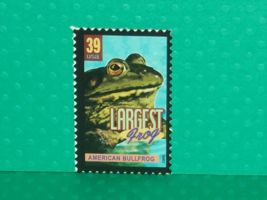 Frog 40 ebay new arrivals