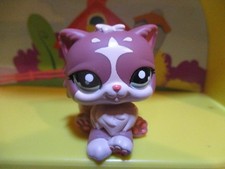 Petshop Chat Persan #1761