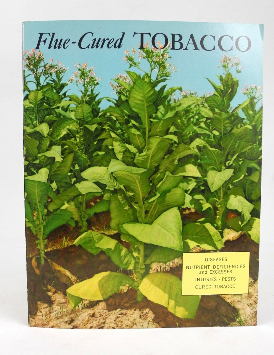 flue cure tobacco Flue - Cured Tobacco Diseases, Nutrient Deficiences, & Excesses