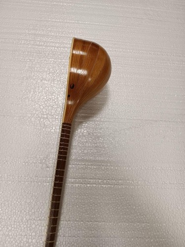 Setar profesional de alta calidad, Sehtar,Sitar con estuche rígido - Imagen 6 de 7