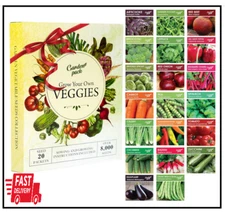 Garden Pack 20 Vegetable Seeds Varieties – High Yield Garden Seeds for Planting 