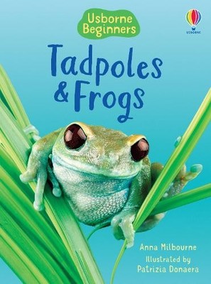 Anna Milbourne Tadpoles and Frogs (Gebundene Ausgabe) Beginners