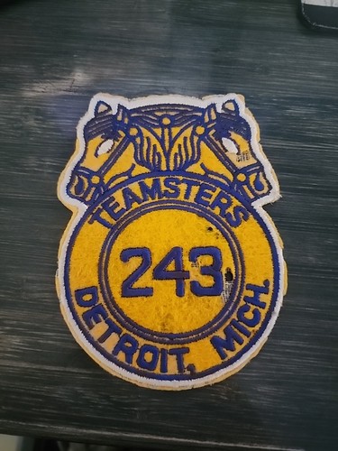 International Brotherhood Of Teamsters Local 243 Detroit Michigan Patch Badge