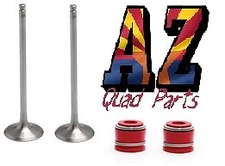 03-06 Kawasaki KFX400 KFX 400 OEM Replacement Kibblewhite Intake Valves & Seals