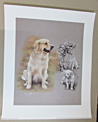 Working Labrador Open Edition Print by Rob Woods