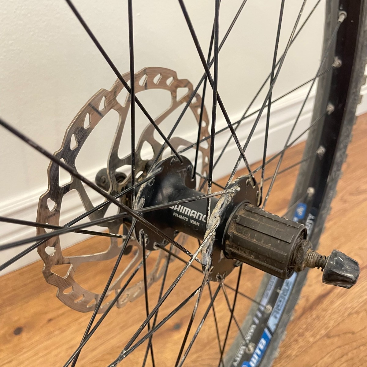 WTB Freeride Dual Duty Disc 26
