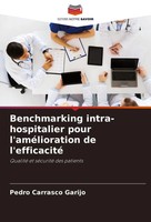 Benchmarking Intra-Hospitalier Pour L'améLioration De L'efficacité Garijo Buch