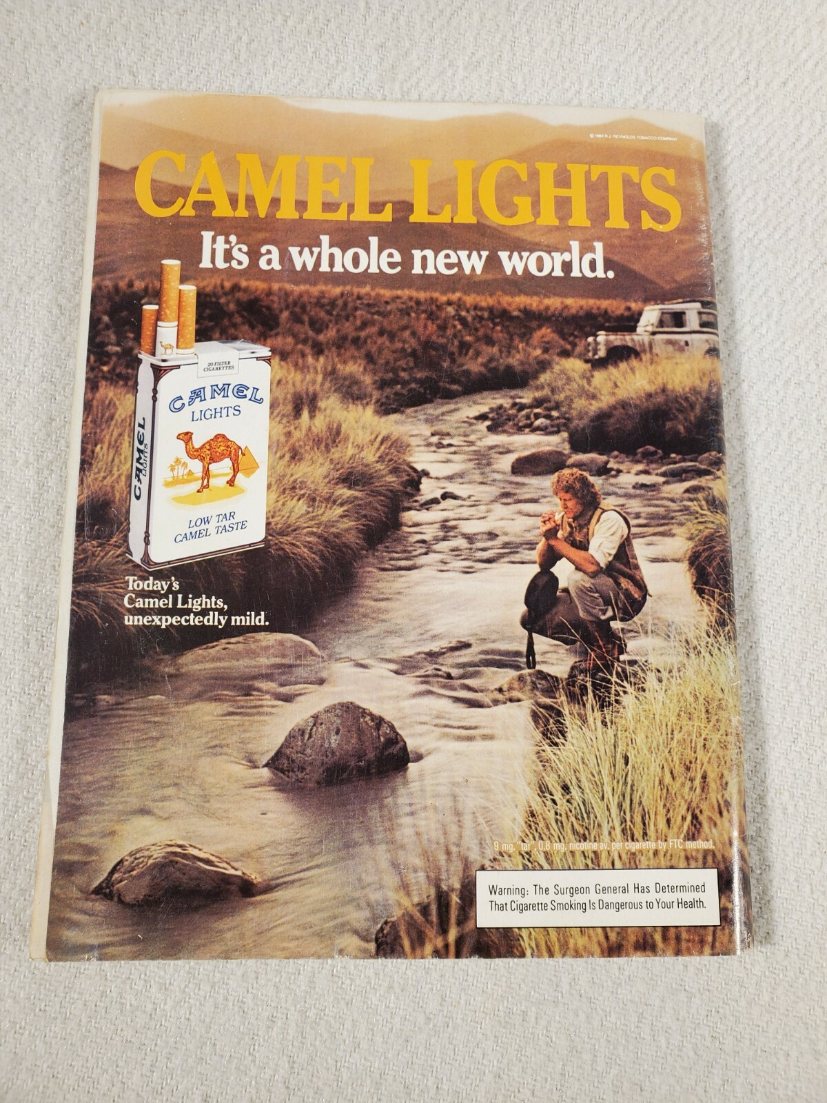 Playboy Magazine Back Issue August 1984 ~ Playmate Suzi Schott Terry Moore | eBay