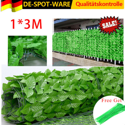 hedera helix gelb bunt Efeu 'Goldheart' - Hedera helix Goldheart main image 1