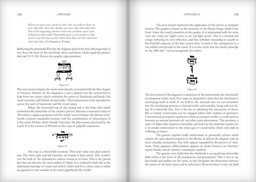 The Kabbalistic Mirror of Genesis by David Chaim Smith (First Edition/Paperback) - Picture 6 of 9