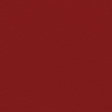 Toyota Cockpit Red Leather Dye