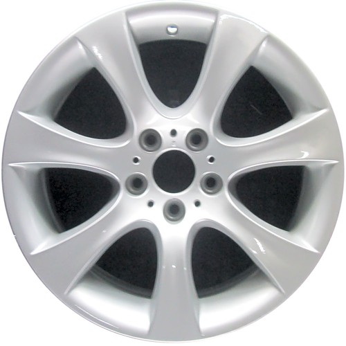 (Ships Today) Wheel Rim BMW 525i 525xi 528i xDrive 530i 530xi 535i 545i 550i M5 