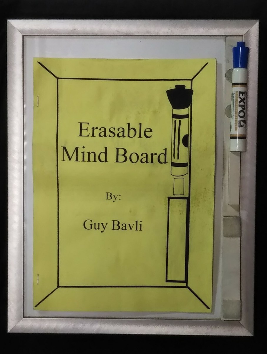 Guy Bavli