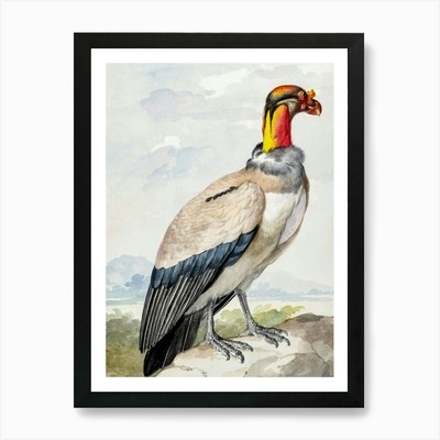 Vintage Vogel Kunstdruck_2835786 Kunst gerahmt Wandbild Poster Leinwanddruck Bild