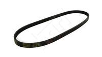 Hart 368 854 Keilrippenriemen FüR Austin,Chevrolet,Daihatsu,Ford,Geo,Honda,Hyund