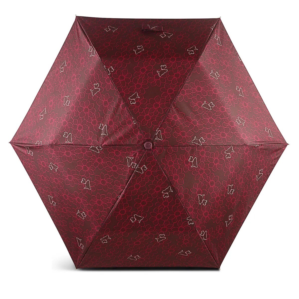 Brand New Radley Umbrella Autumn Florals Merlot eBay