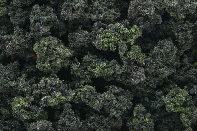 Woodland Bushes Clump Foliage - Forest Blend - Model Railroad Grass Earth