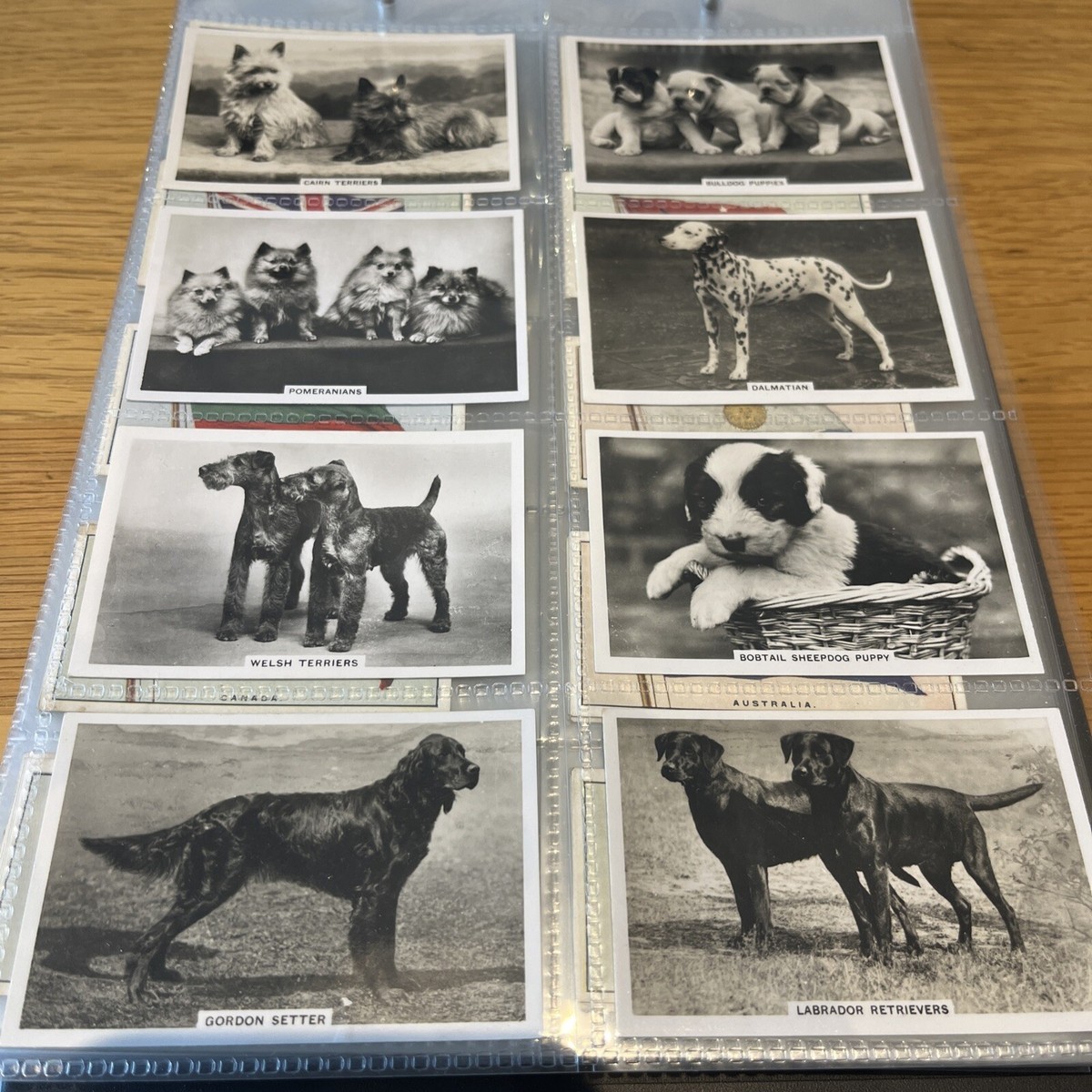 Senior Service Cigarette Cards DOGS (1939) - Set of 48 in Sleeves