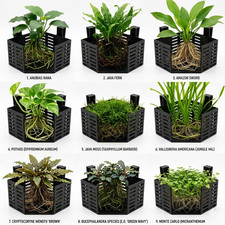 Scatola porta fioriera idroponica per acquario 120x120x70