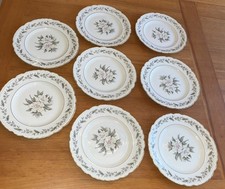 8 Royal Jackson Magnolia Fleur De Blanc 8  Lu...