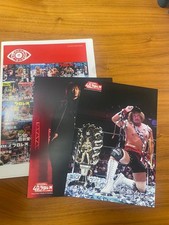Tetsuya Naito A4 File Portrait NJPW Los Ingobernables New Condition