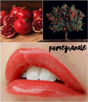 POMEGRANADE LIPSENSE By SeneGence Long Lasting Liquid Lip Color - New Sealed