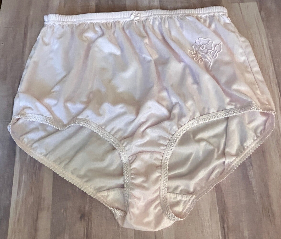 Rene Rofe Vintage Pale Pink High Waisted Embroidery Brief Panties ...