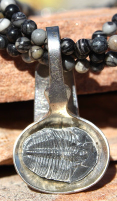 Elrathia Kingi Trilobite Pendant. Set in a Vintage Silver-Plated Mustard Spoon.