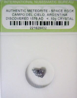 1576 METEORITE Slabbed Campo Del Cielo Meteor Space Rock LOT #17   NR