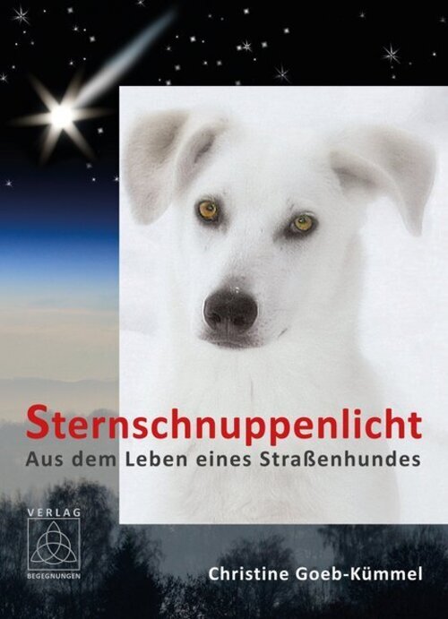 Thumbnail - Sternschnuppenlicht | Aus Dem Leben Eines Straßenhundes | Christine