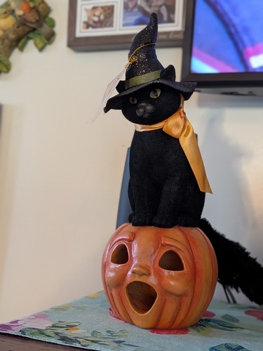 Bethany Lowe Designs: Halloween; schwarze Katze Hexe auf Kürbis, Artikel# TD0058