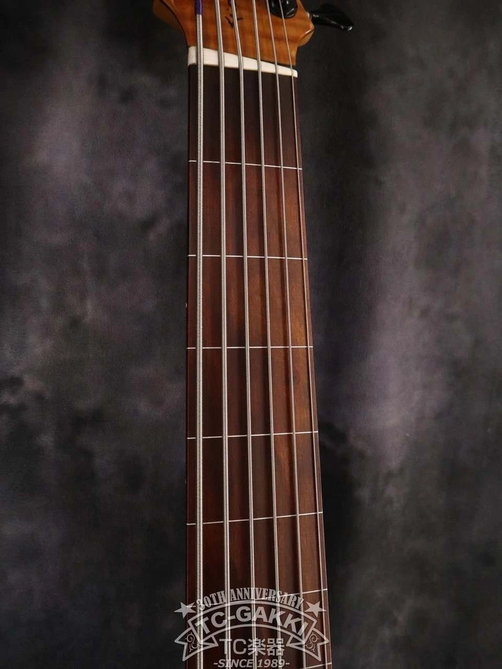 Roscoe SKB6 Заказная Безладовая 6-Струнная Бас-гитара Ручной Работы с Теплым Звуком Б/у - Изображение 2 из 4