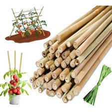 5FT & 6FT Bamboo Garden Canes Plant Support Stakes Natural Strong Sticks 10-100