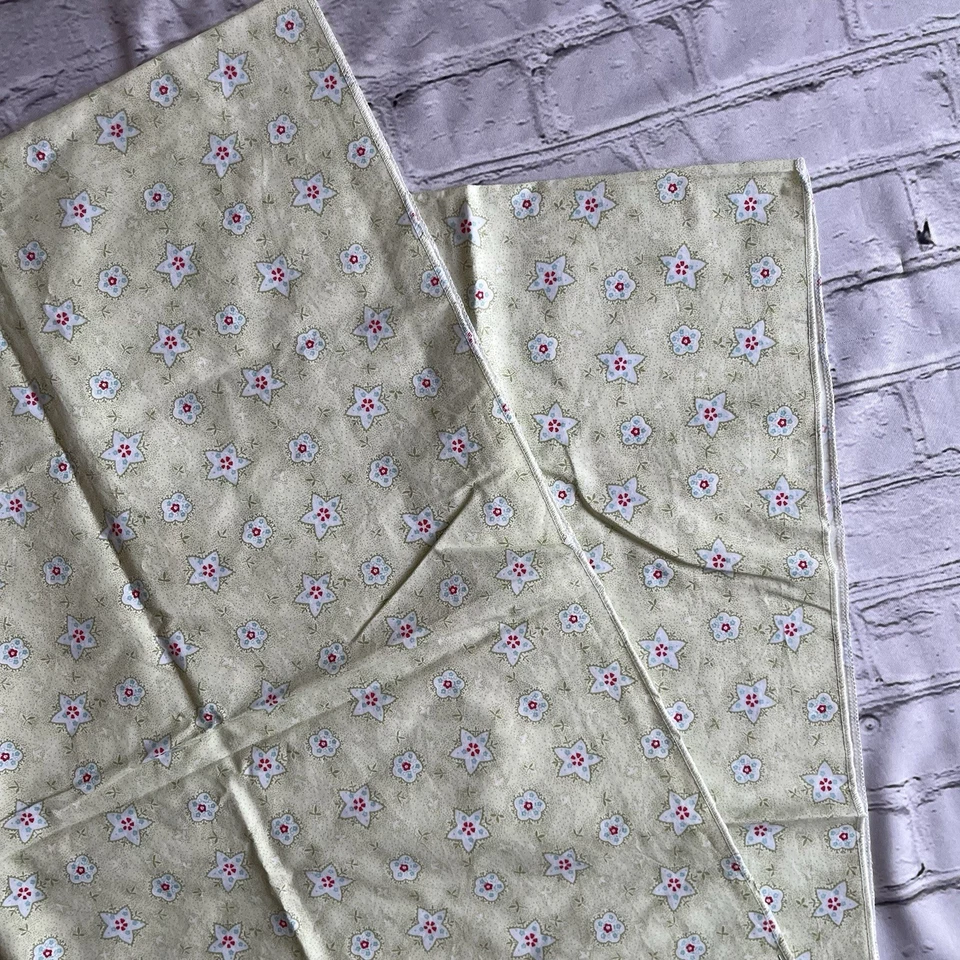 Rachel Ashwell Shabby Chic Bandana Salvia Popelina Tela Yardage De Colección Raro 36x54 Foto 2 de 4