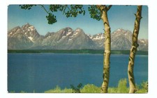 Wyoming WY Postcard Grand Teton Mountain Range Jackson Lake Vintage