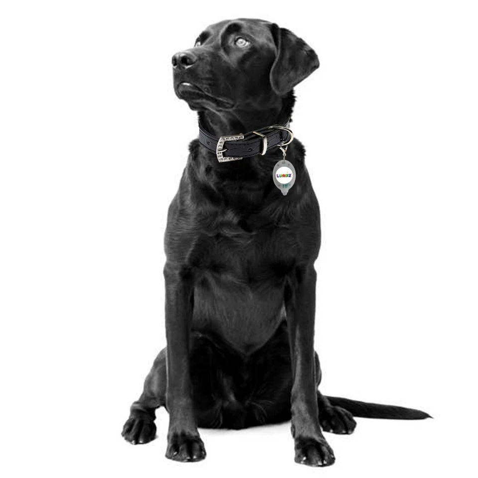 Clip On Lumeez® LED Safety Night Glow Light for Pet Dog Collar Various Colours - Image 3 of 4
