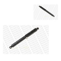 Monroe 2X StoßDäMpfer Hinten FüR Renault Opel Master II Kasten FD JD Ed/Hd/Ud