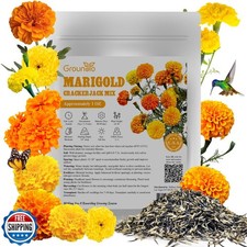 Groundio Marigold Seeds, 1 OZ Cracker Jack Mix, Heirloom Seeds fo 320.00 per gallon