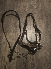 western show halter