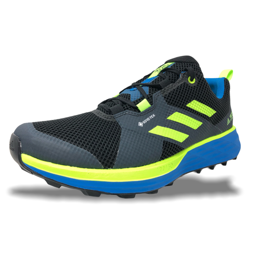 adidas terrex two goretex