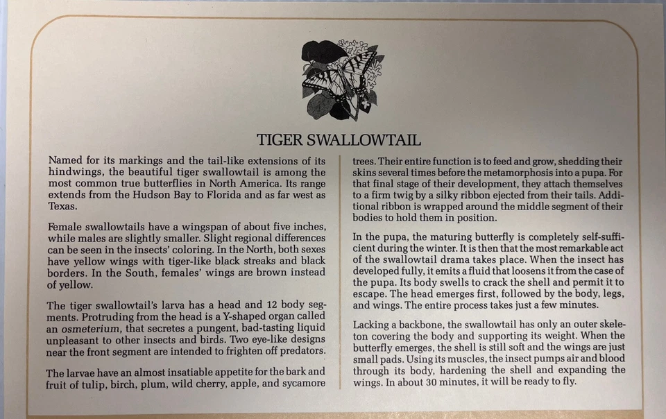 American Wildlife Mail Cover FDC & Info Sheet Tiger Swallow Tail Butterfly 1987 - Image 2 of 3