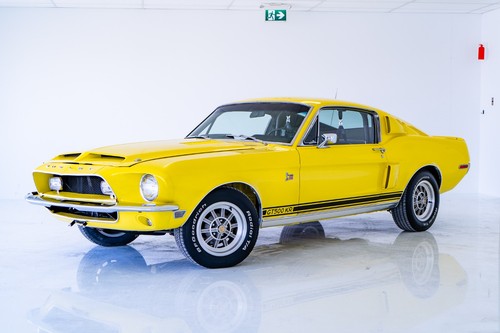 Shelby: Mustang