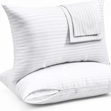 Ultra Soft Queen Pillow Protectors with Zipper - 2 Pack Breathable Covers