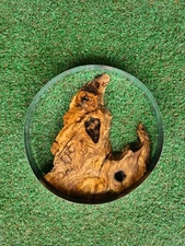 12'' Live Edge Olive Wood For Round Epoxy Projects, Curl Olive Wood Slab