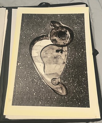 Original ' Julio Alves ' untitled 2015 ( Arte Que Biche E Esse ) collection