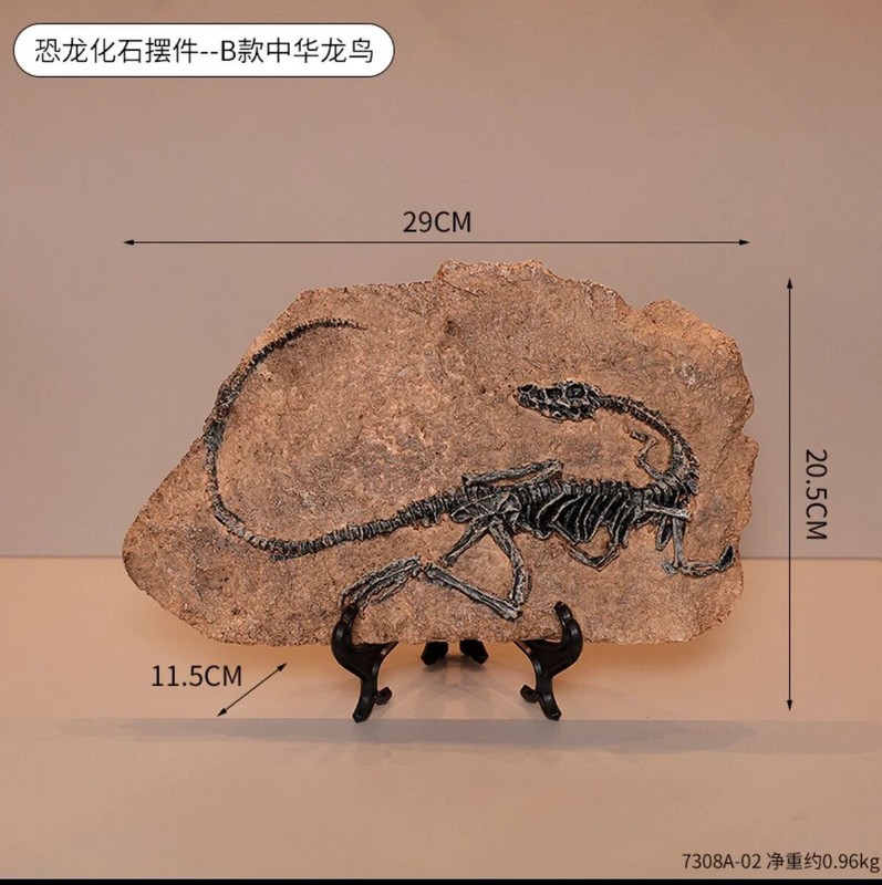 TOP! simulated Jurassic Cretaceous dinosaur skeletal fossil specimens 2.1LB