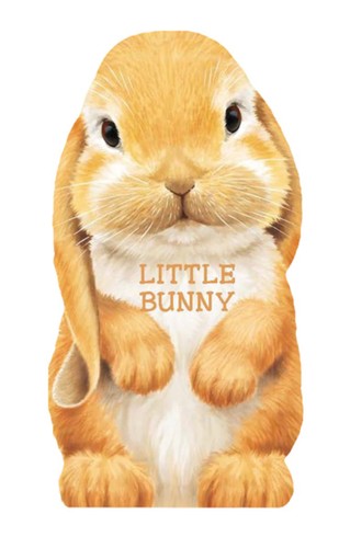 Little Bunny - Rigo, L. - Good - See condition notes