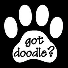 Got Doodle Dog Animal Pet Doggie Paw Print Vinyl Decal Sticker White 5"x5"